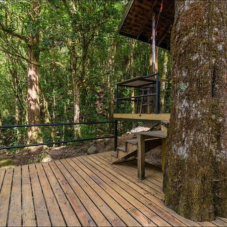 Unicorn Lodge: Direct Riverfront : Unique Experience Сан-Херардо-де-Дота Экстерьер фото