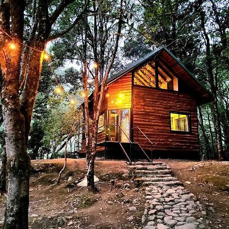 Unicorn Lodge: Direct Riverfront : Unique Experience Сан-Херардо-де-Дота Экстерьер фото