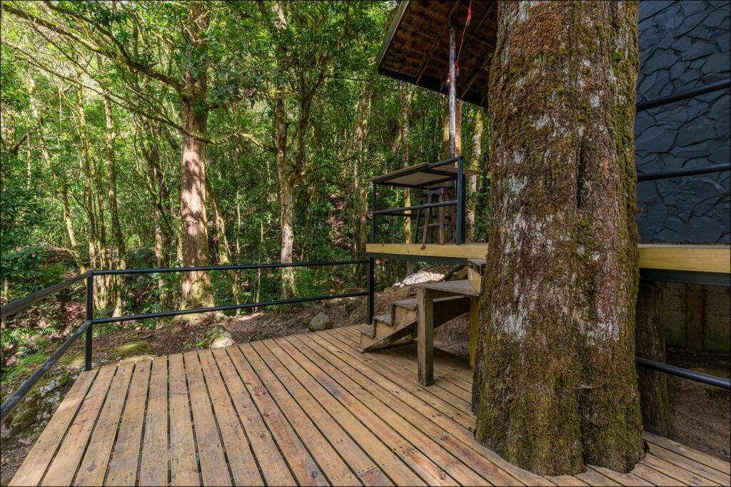 Unicorn Lodge: Direct Riverfront : Unique Experience Сан-Херардо-де-Дота Экстерьер фото