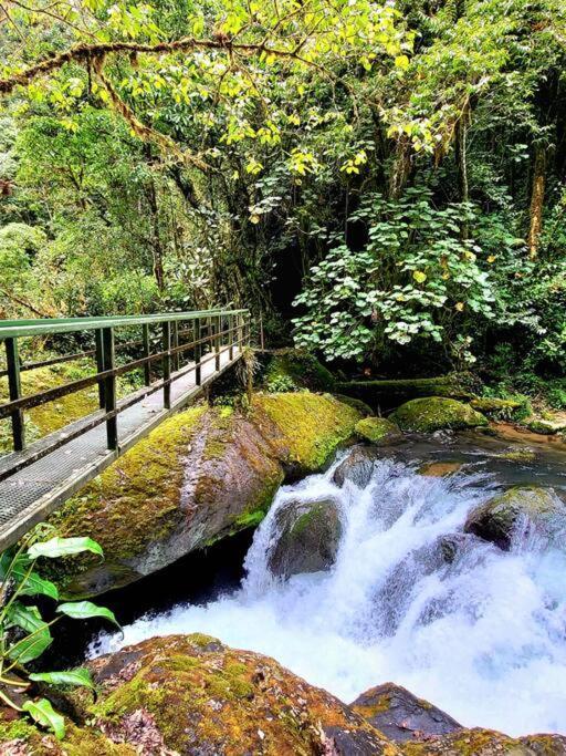 Unicorn Lodge: Direct Riverfront : Unique Experience Сан-Херардо-де-Дота Экстерьер фото