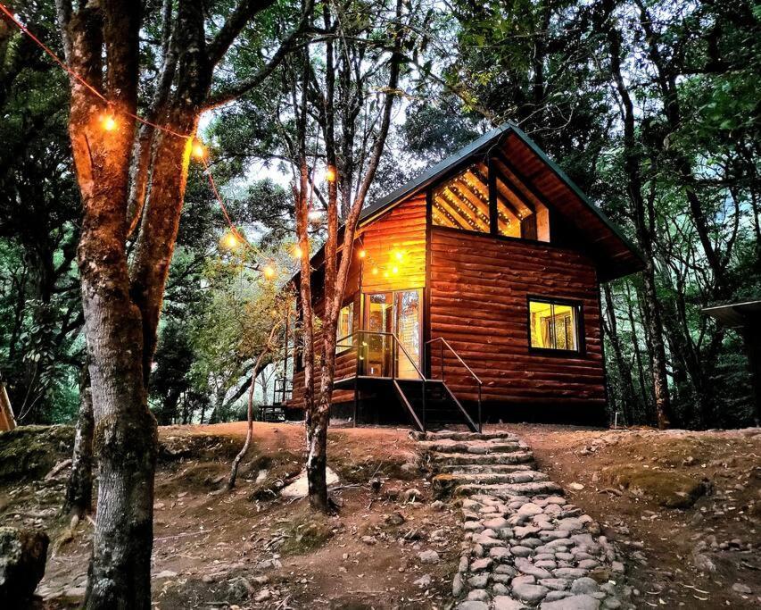 Unicorn Lodge: Direct Riverfront : Unique Experience Сан-Херардо-де-Дота Экстерьер фото