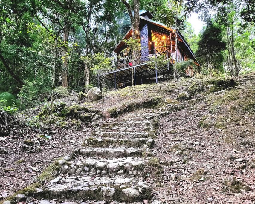 Unicorn Lodge: Direct Riverfront : Unique Experience Сан-Херардо-де-Дота Экстерьер фото