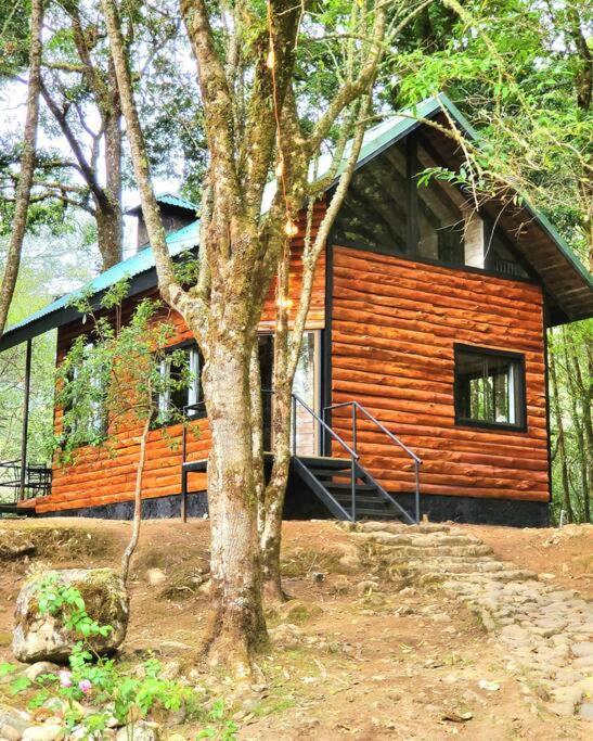 Unicorn Lodge: Direct Riverfront : Unique Experience Сан-Херардо-де-Дота Экстерьер фото